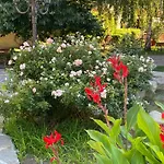 Garden Of Eden - Panorama C15 Rey&mar 公寓