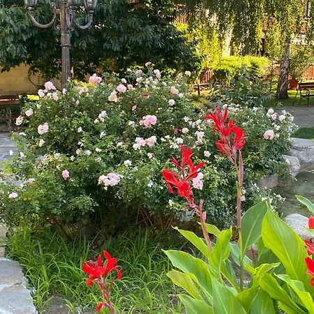 Garden Of Eden - Panorama C-1-15 Reymar Lejlighed