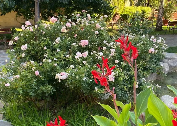 Garden Of Eden - Panorama C15 Rey&mar Lejlighed