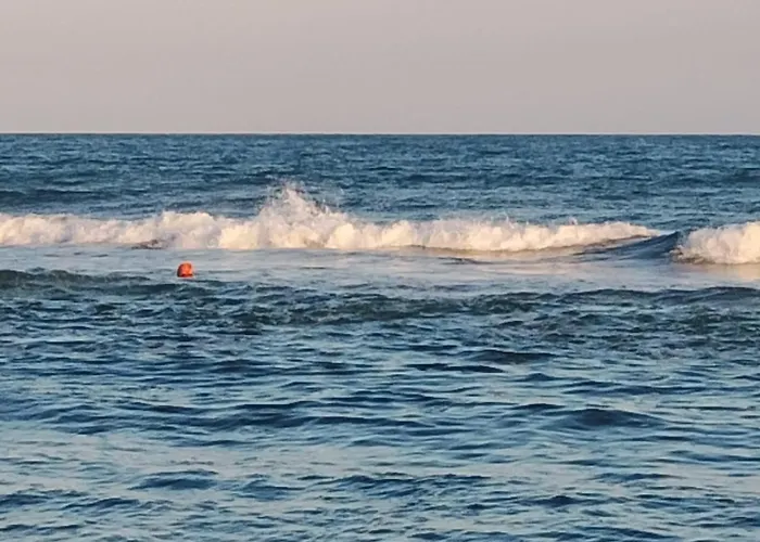 Garden Of Eden - Panorama C15 Rey&mar